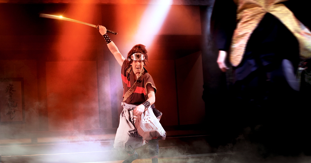 Ninja Show 